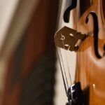 violin-5818267_1280