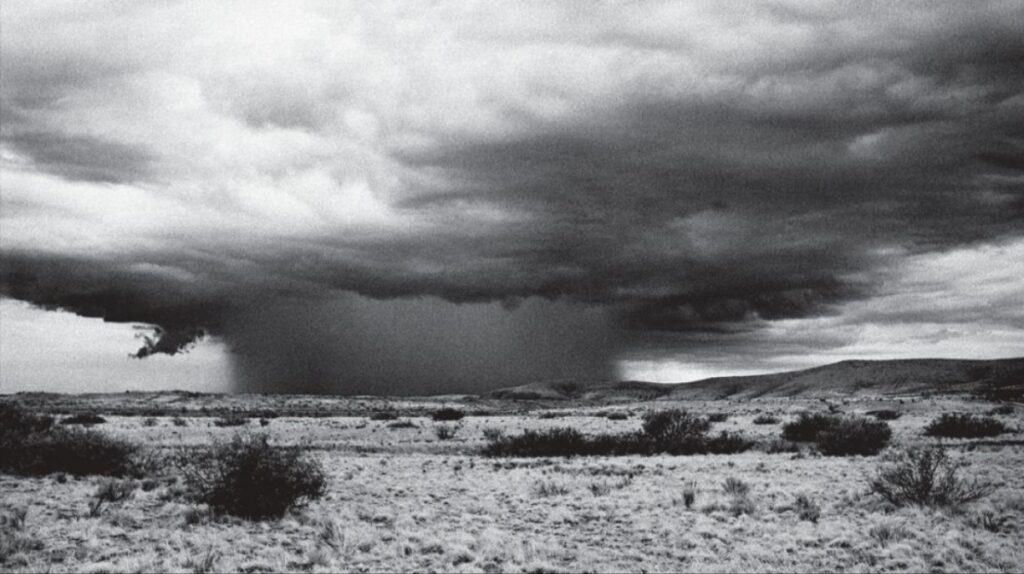 Polish_20250925_211108005